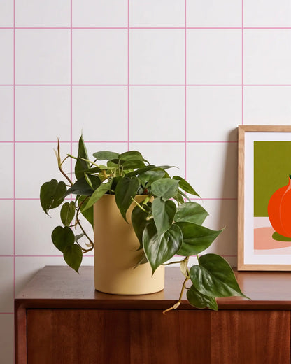 Papier peint Carreaux Rose Bubblegum